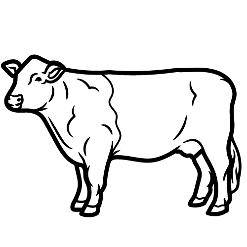Classique - Boeuf